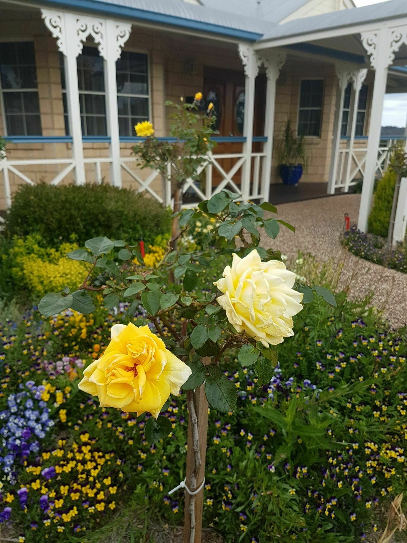 스탄소프 Grovely House B&B 외부 사진